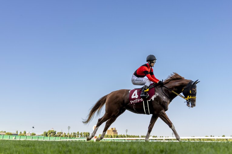 ジャックドール ／ photograph by photostud