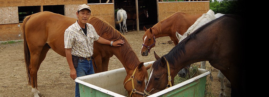 サラブレッドが余生を過ごす場所。「馬愛」に溢れた養老牧場を訪ねて。＜Number Web＞ photograph by Akihiro Shimada