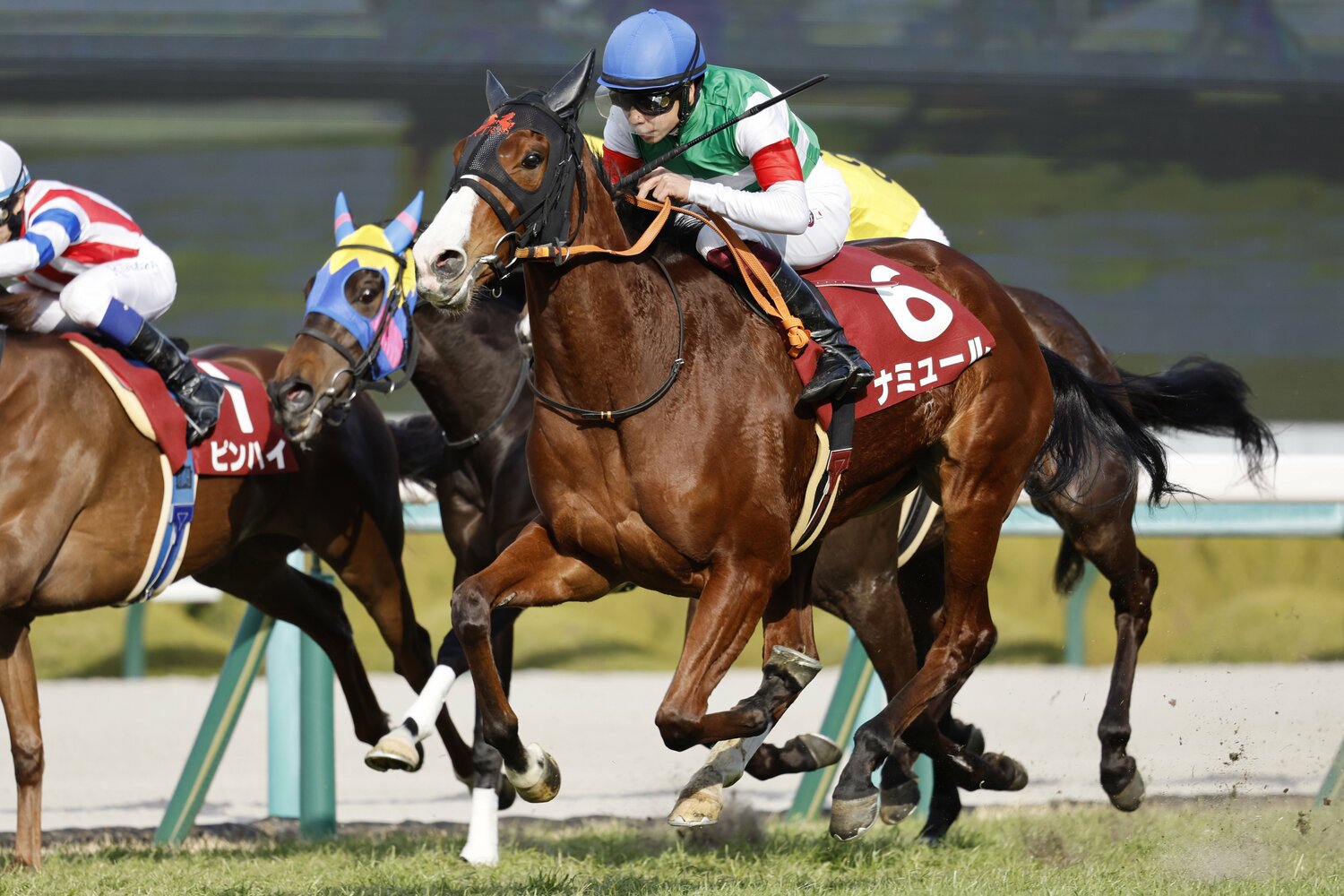 前走チューリップ賞（GII）を豪快に差し切ったナミュールと横山武史　©Photostud