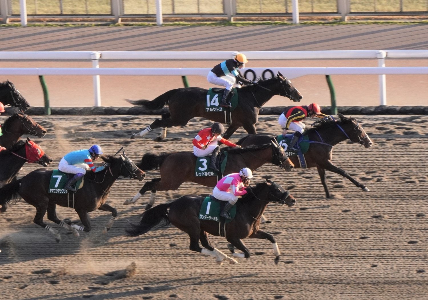 根岸Sで10番人気ながら2着に入った田中勝春騎乗のワンダーリーデル（手前）