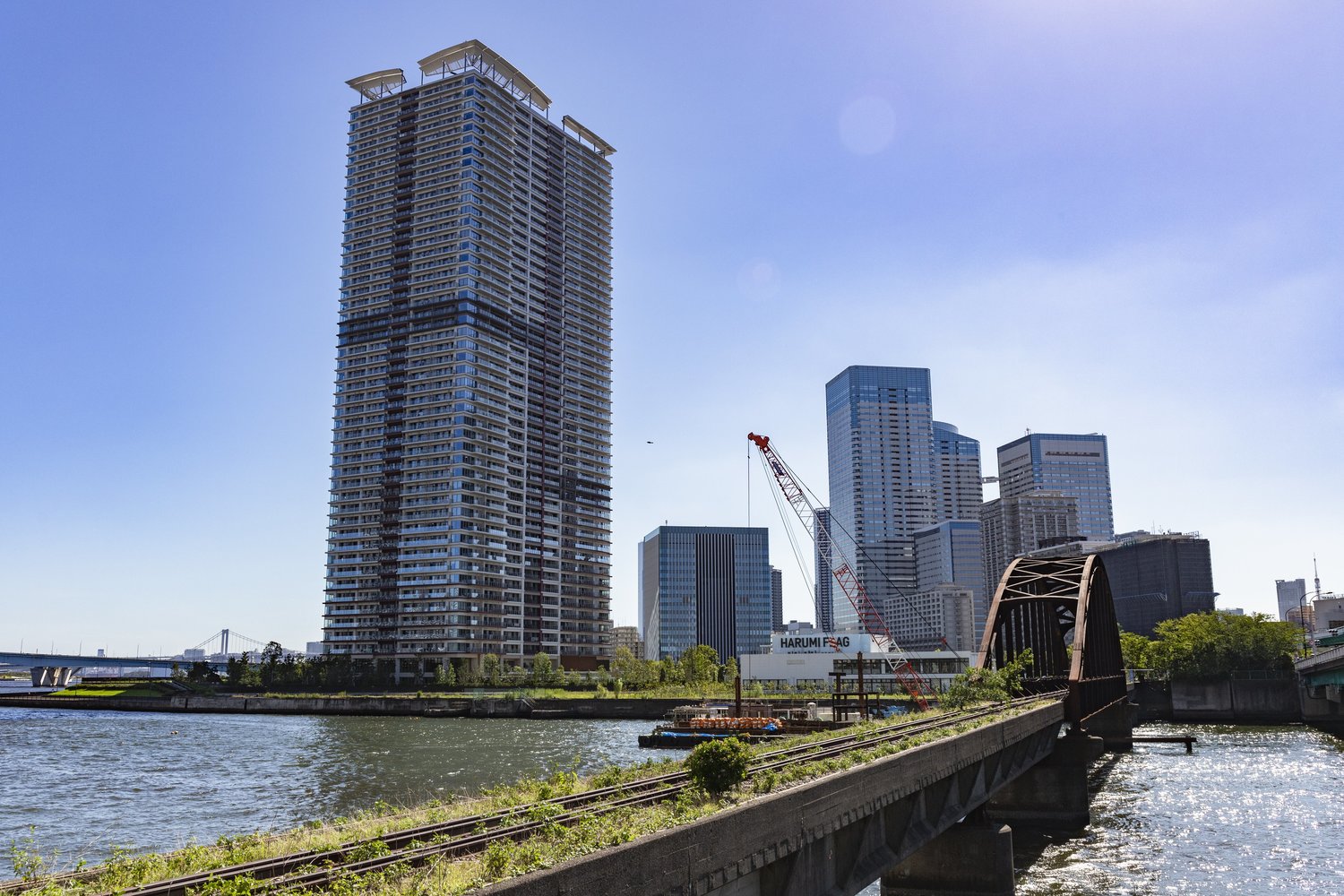 1957年に開通し、1989年に廃止された東京都港湾局晴海線の廃線跡だという