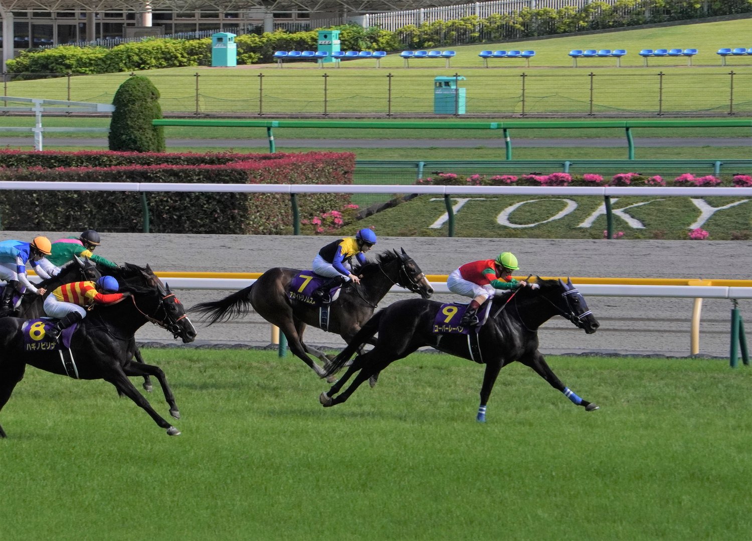 オークスを制したユーバーレーベンも手塚師の管理馬だⒸSatoshi Hiramatsu