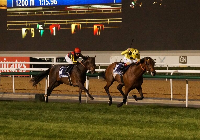 16年のドバイSC。デュラメンテ（左）はポストエンドに及ばなかった　©Satoshi Hiramatsu