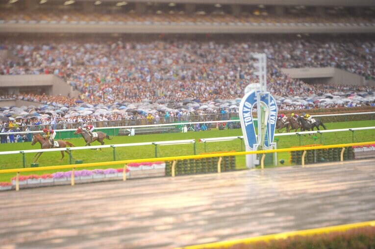 2011年、オルフェーヴルが制した日本ダービー　©Naoya Sanuki