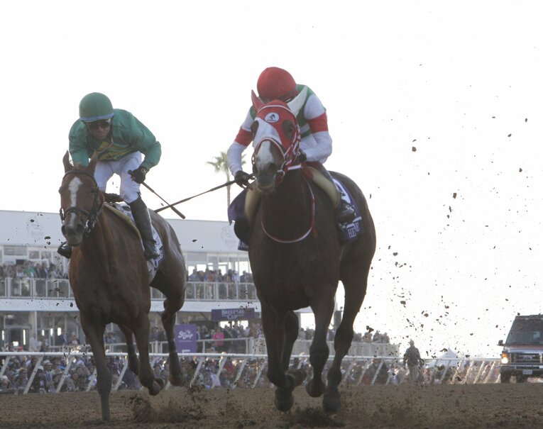 ダートで競われるディスタフは、アメリカ競馬の最高峰を争う一戦だと言える