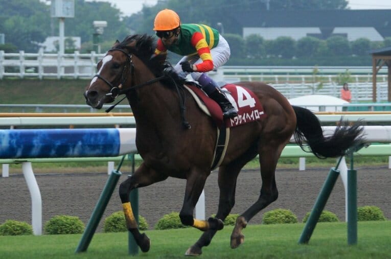 2013年の札幌記念を制したトウケイヘイロー。鞍上には武豊 ／ photograph by Satoshi Hiramatsu