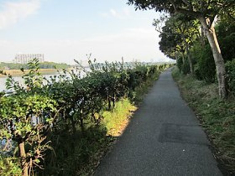 東京湾岸をひたすら東へ、幕張へ。「未来都市」のあるべき姿とは？(9)