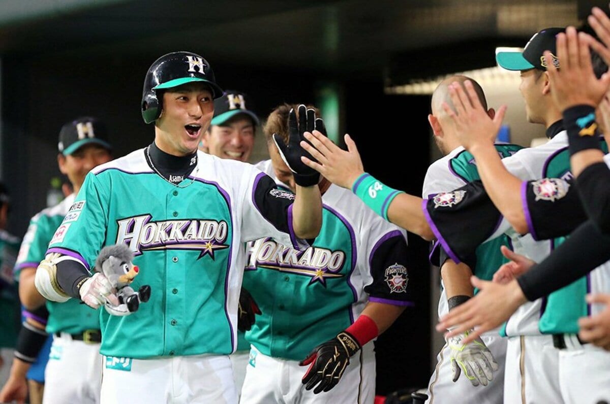 日本ハムファイターズ 淺間大基 #8　バット NPBマーク 支給品　実使用 日本ハム・淺間大基が背番号8に変更「色々な意味が込められていると