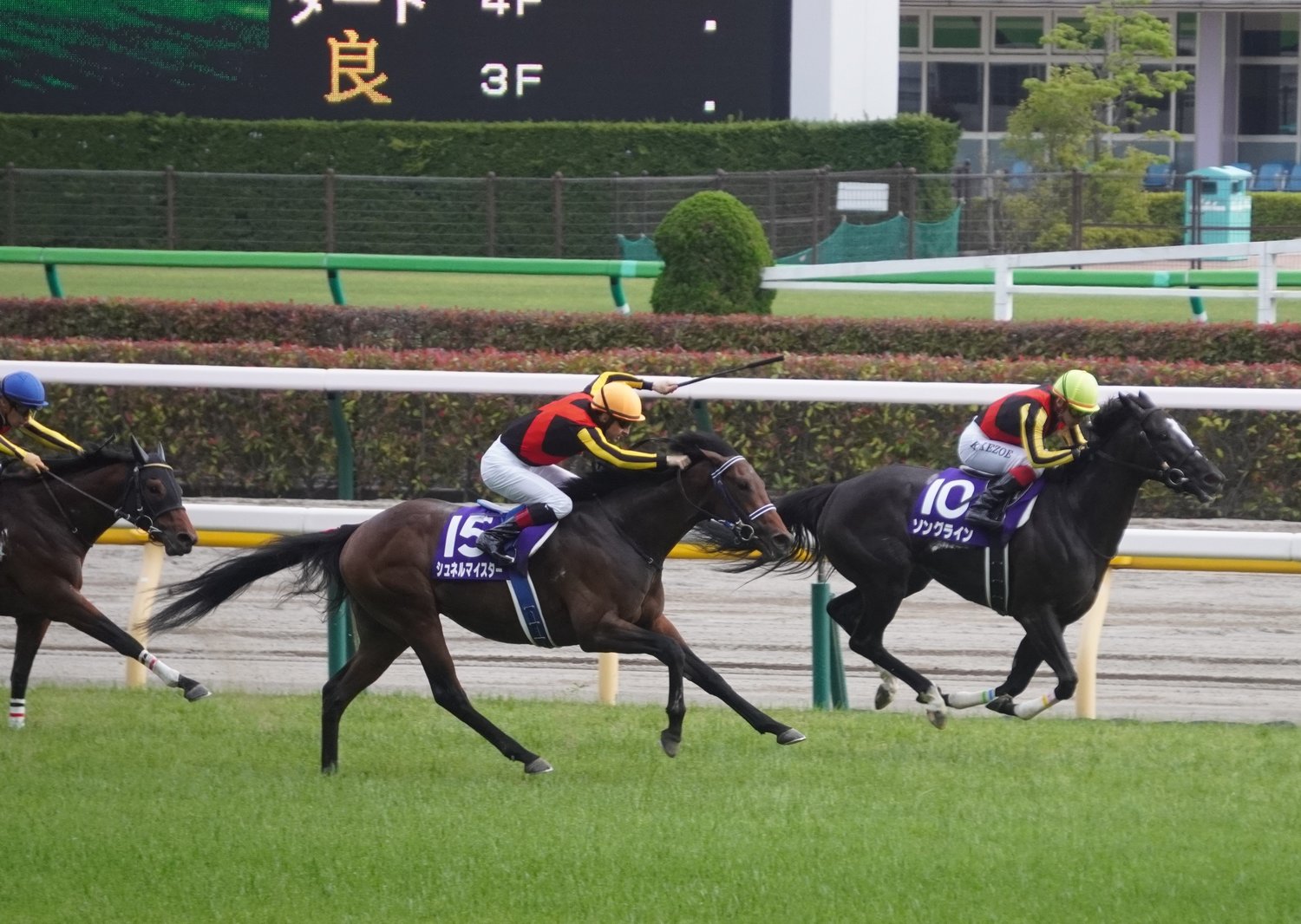 NHKマイルではソングラインにハナ差で競り勝ったシュネルマイスター©Satoshi Hiramatsu