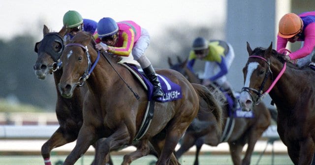 残り310m、絶体絶命の有馬記念で見せた執念…テイエムオペラオー