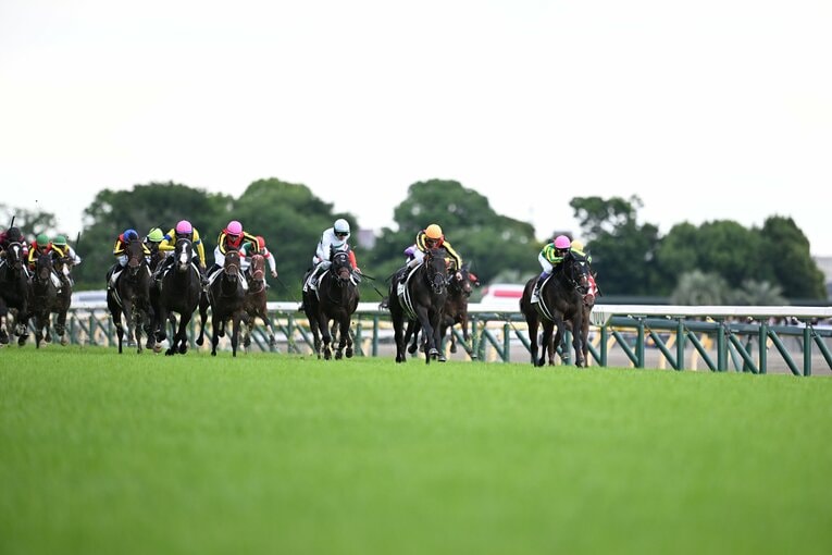 直線で抜け出すクロワデュノール　©Keiji Ishikawa