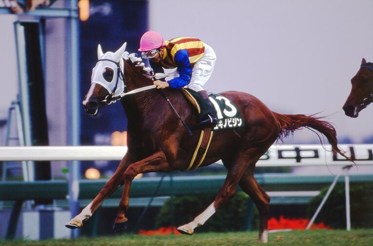 ユキノビジン（1993年クイーンS）　©Keiji Ishikawa
