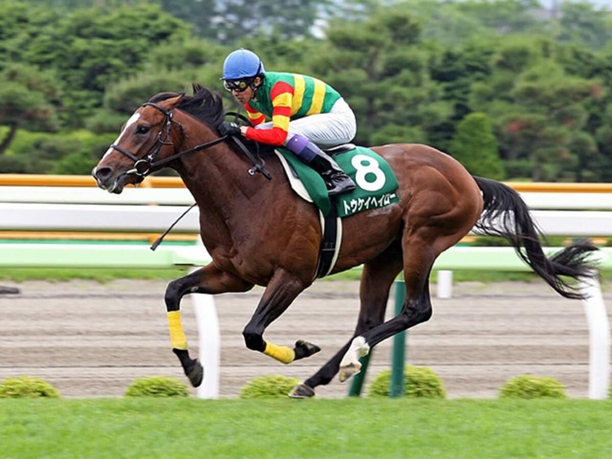 競馬 フィギュア 全種類 11頭 競馬 馬 G1 - スポーツ