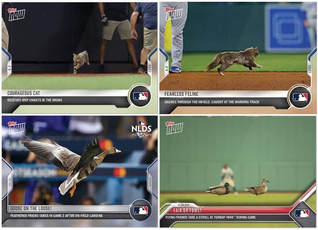 動物が主役となったカード　©Topps