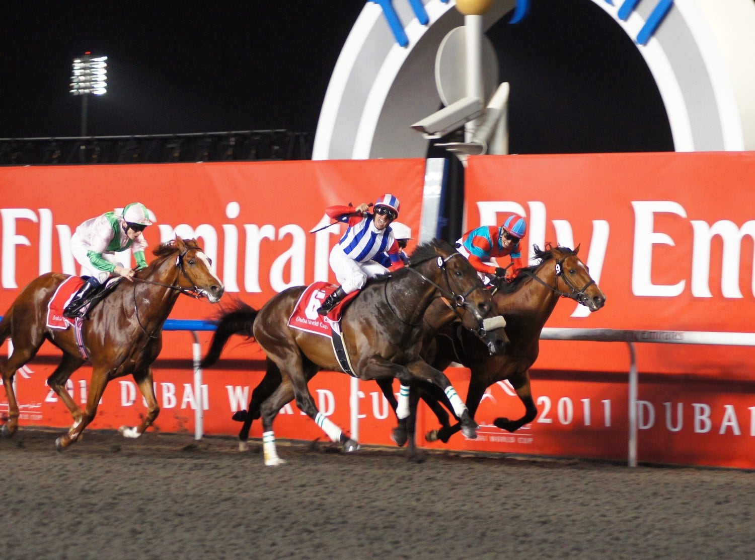 トランセンド（奥）に先着したヴィクトワールピサ