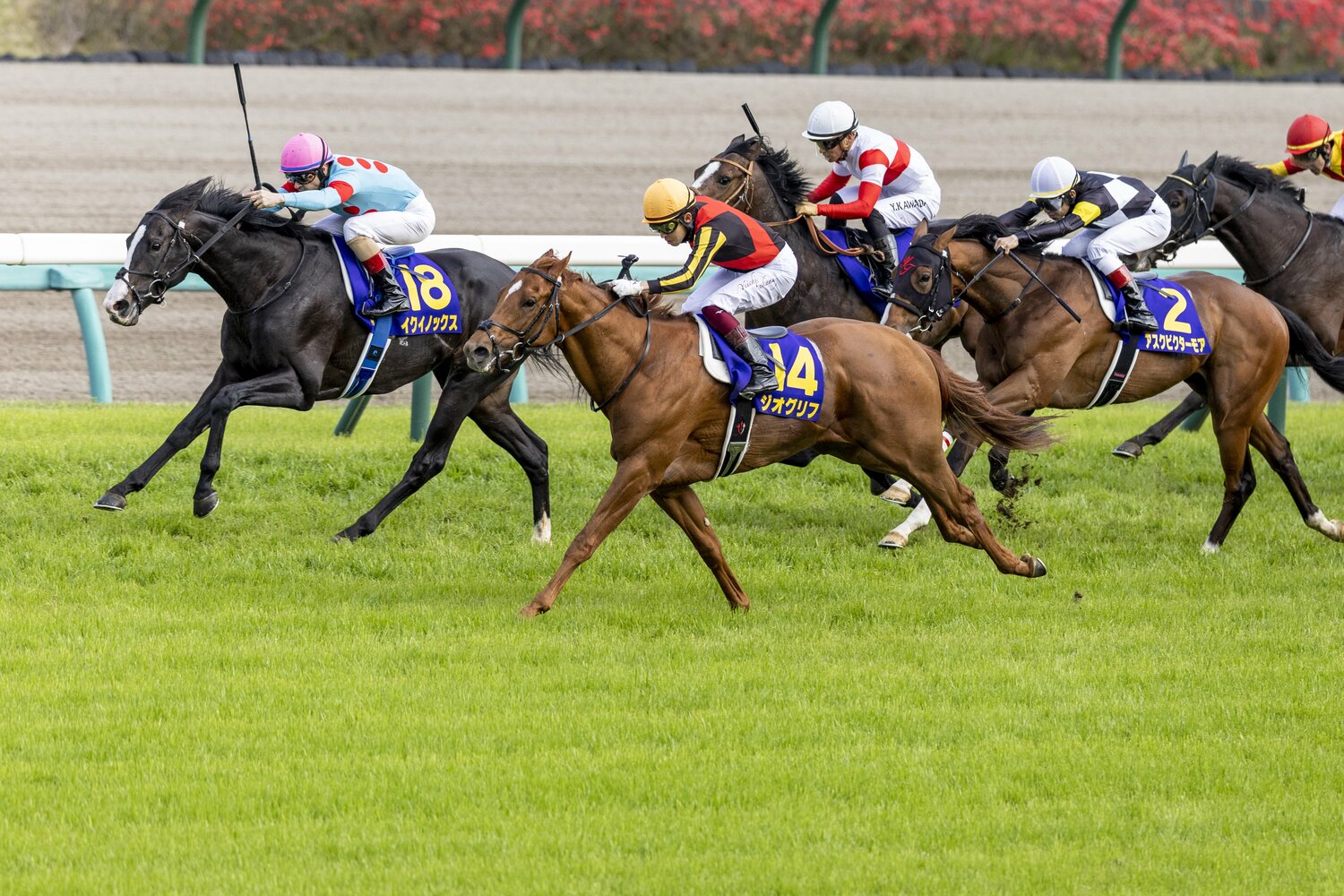 1着ジオグリフ、2着イクイノックス、3着に追い込んできたドウデュースという結果に　©Photostud