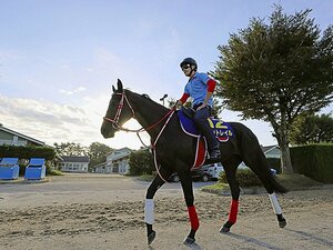 コントレイル、菊花賞での無敗三冠達成は当確？ 武豊が語っていた“父”ディープインパクトへの不安