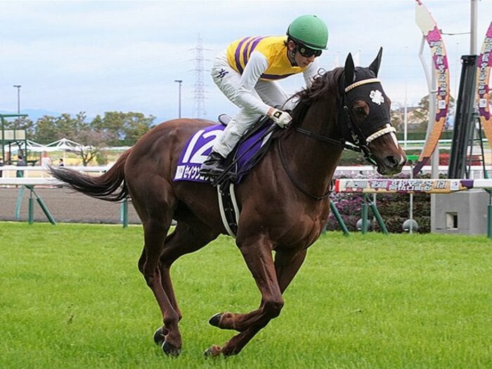 まだまだ見限るのは早い！ セントウルSはあの“古豪”が大暴れの予感＜Number Web＞ photograph by Satoshi Hiramatsu