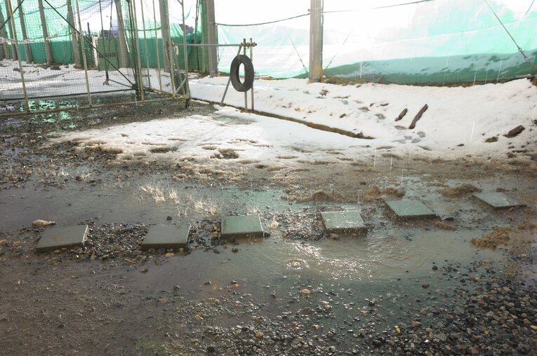 花巻東高校探訪（2010年撮影）　©Asami Enomoto