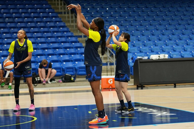 ©︎toyota_antelopes