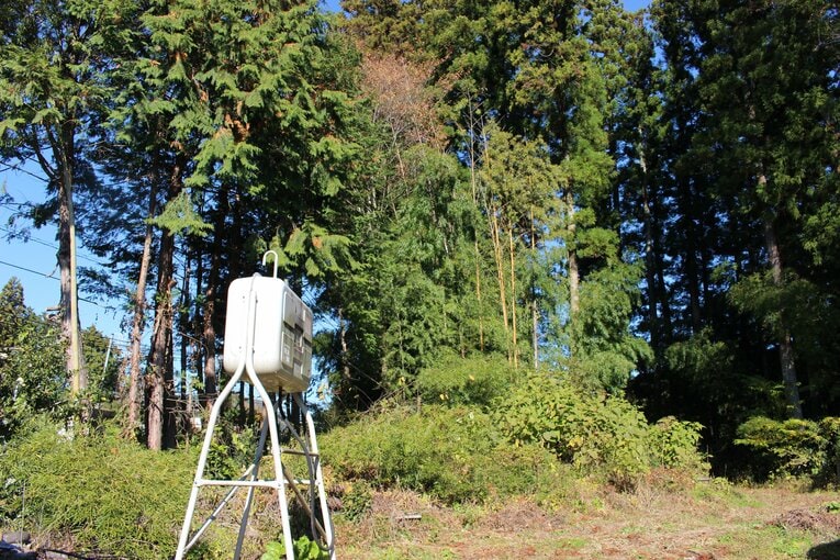 実家の裏は自然豊かな雑木林　©Number Web