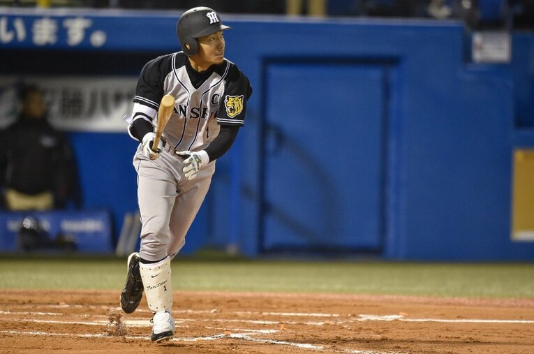 2016年 ／ photograph by Nanae Suzuki