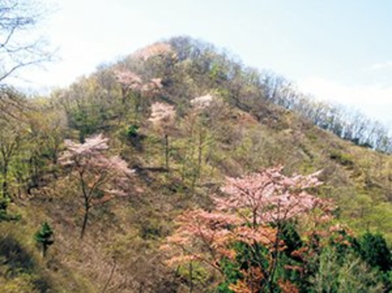 ＜『山と溪谷』編集長の「山」論＞ 神谷有二 「山ブームに思うこと」(4)