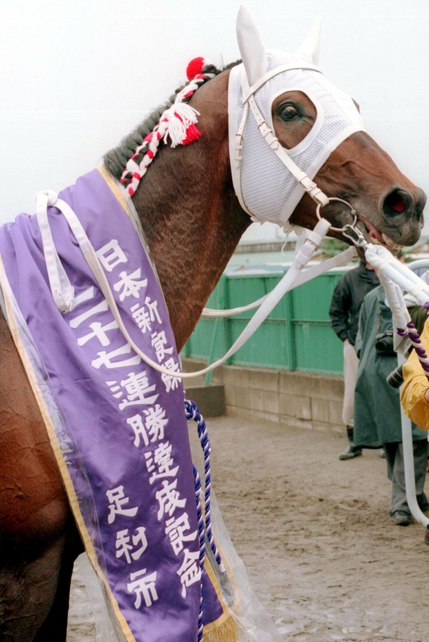 1999年4月足利競馬場、逃げ切って27連勝（当時の日本記録）を達成したドージマファイター　©Sankei Shimbun