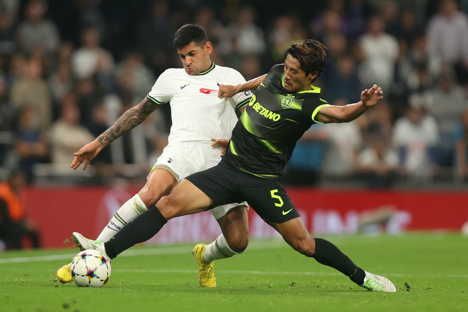 チャンピオンズリーグのトッテナム戦でプレーする守田英正　©Getty Images