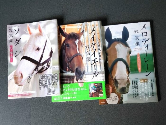 あのメイケイエールが“オリコン3位”にランクイン! なぜ競走馬の写真集がブームに?「馬への愛情の向け方が変わってきている」<Number Web> photograph by 2020 Kosaido Publishing / GUIDEWORKS CO.,LTD.