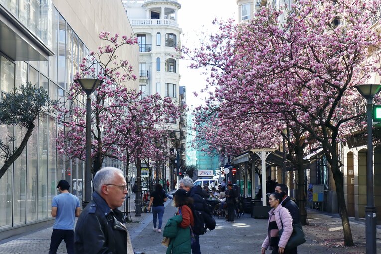 「クボは2回目だぞ！」マドリー名将が不服そうだが久保建英は「あんなのファールじゃないだろ？」とばかりに…“名門の圧vsソシエダの熱”を激写(14)