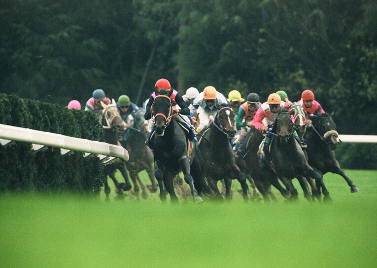 7馬身差で圧勝した菊花賞。大外のシャドーロールをつけた馬がナリタブライアン　©BUNGEISHUNJU