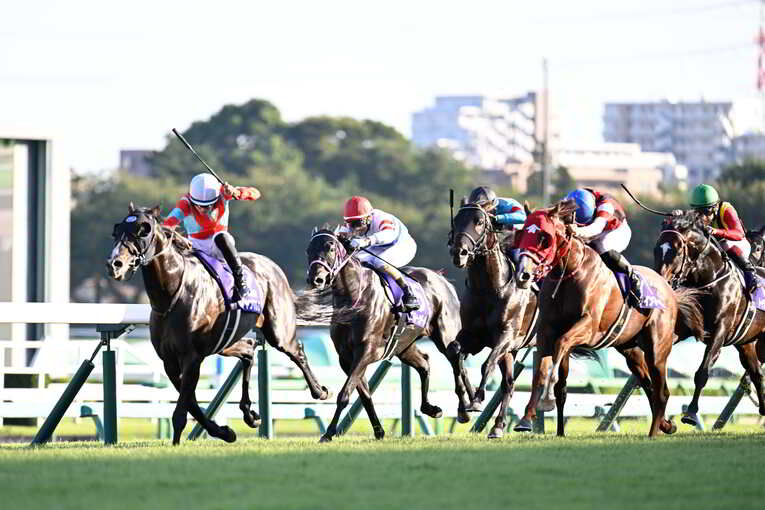 1番人気メイケイエールはなぜ不発に終わった？ 波乱のスプリンターズS、「すべての展開が味方した」ジャンダルムが生んだ“血のドラマ”(33)