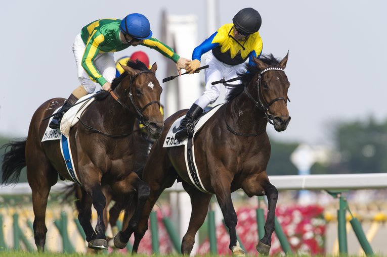 サトノダイヤモンド（セレクトセールで2億3000万円で落札）　©BUNGEISHUNJU