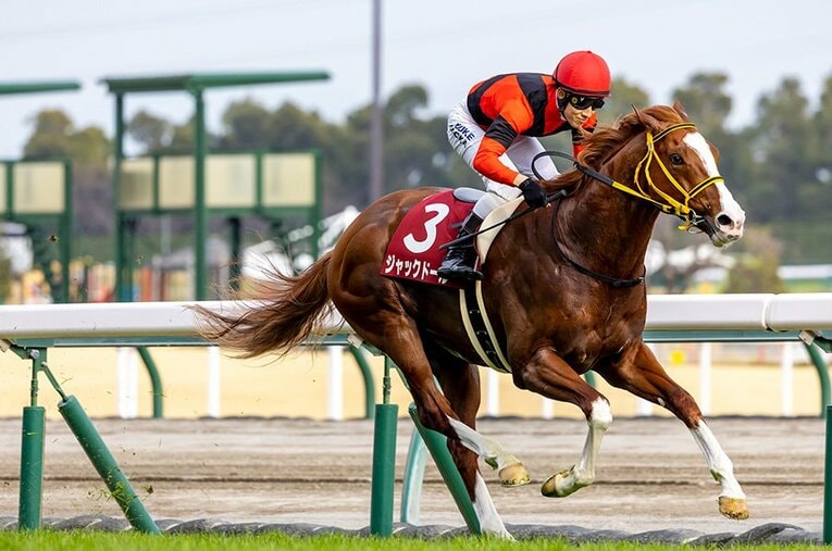 前走・金鯱賞（GII）で重賞初勝利勝利を収めたジャックドールと藤岡佑介 ／ photograph by Photostud