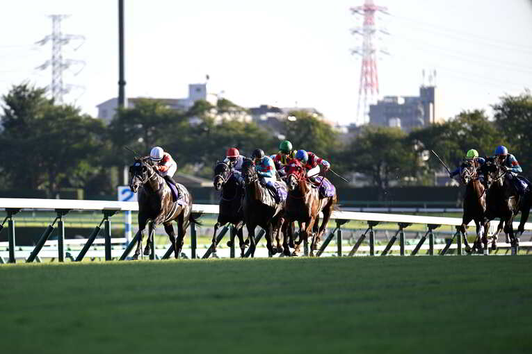 1番人気メイケイエールはなぜ不発に終わった？ 波乱のスプリンターズS、「すべての展開が味方した」ジャンダルムが生んだ“血のドラマ”(31)