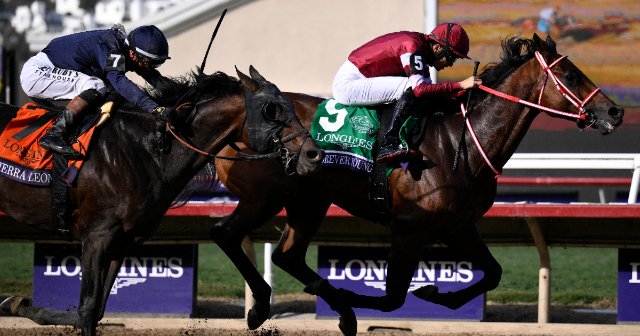 記者投票が物議をかもすことも」フォーエバーヤングは年度代表馬に選ば