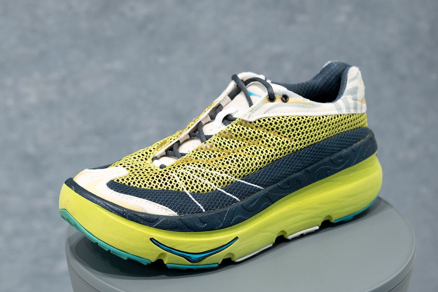 大空を舞う鳥のモチーフがデザインされた試作シューズ