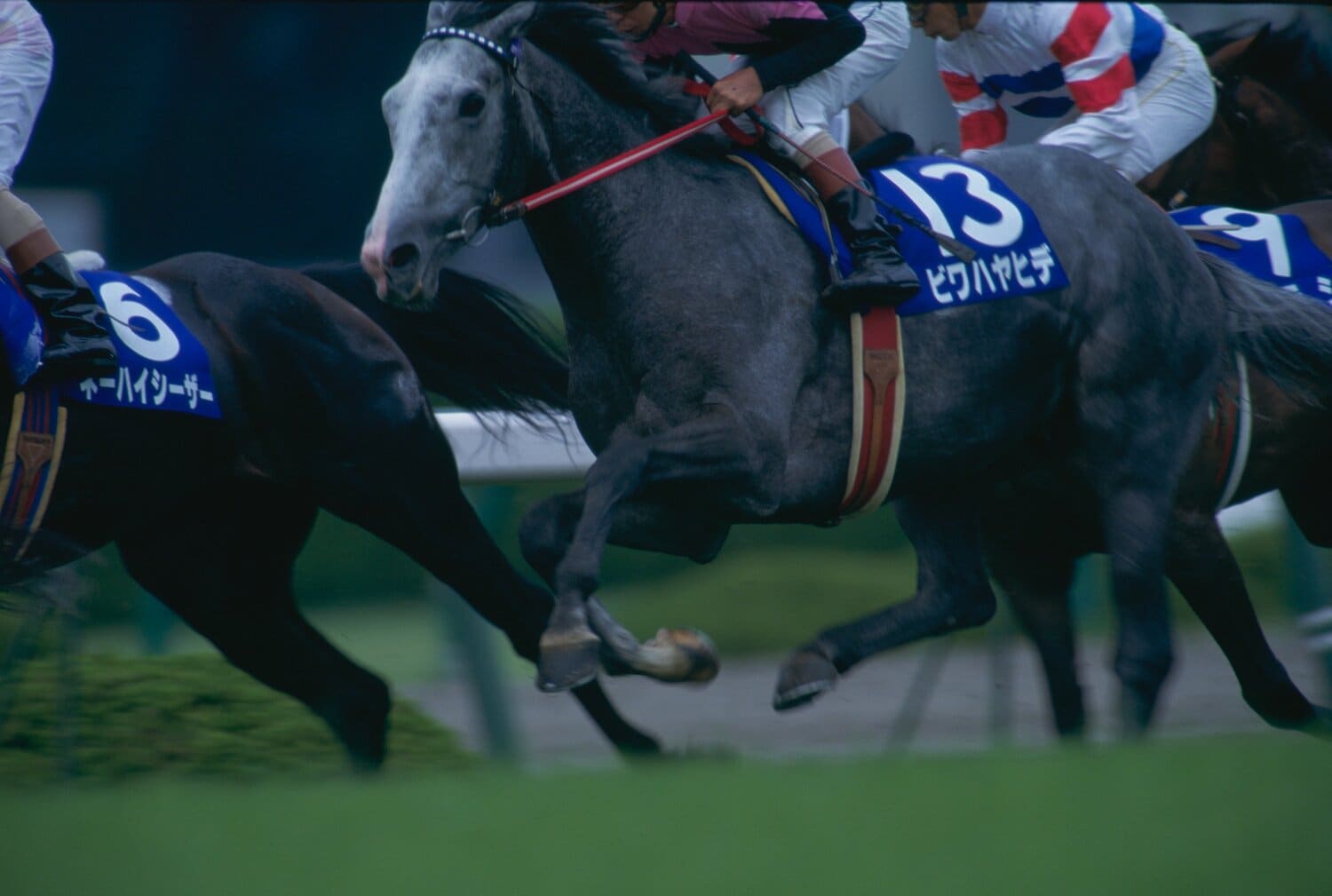 1994年の宝塚記念で優勝したビワハヤヒデ　©BUNGEISHUNJU