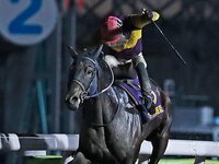 南関3歳クラシック第1弾、昨年の羽田盃を9番人気馬で初制覇した真島大輔の勝負哲学とは？