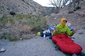 カウボーイキャンプで迎える朝。もこもこだ。 