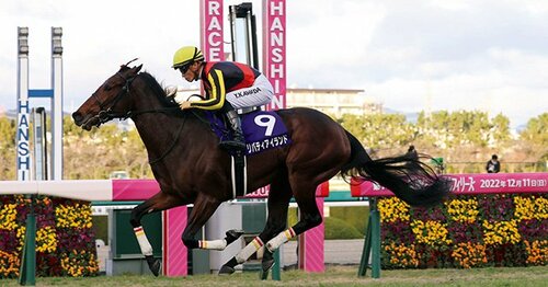競馬ファン必見！ 桜花賞1着オグリローマンからソダシまでの1着馬