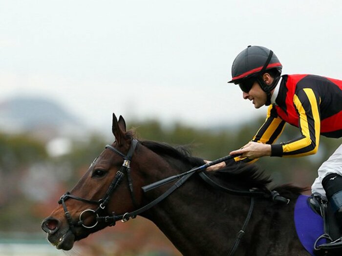 【ヴィクトリアマイル】グランアレグリアの“大阪杯の3つの負け要素”がすべてプラスに？ 藤沢師の“最後の傑作”が大記録達成か＜Number Web＞ photograph by Photostud