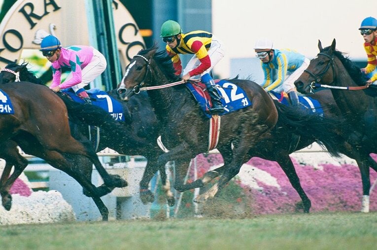 ベガ ／ photograph by Keiji Ishikawa