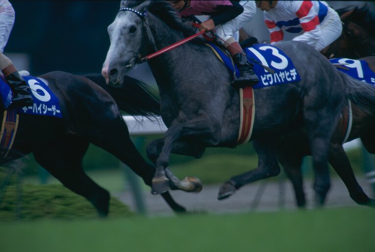 1994年の宝塚記念で優勝したビワハヤヒデ　©BUNGEISHUNJU