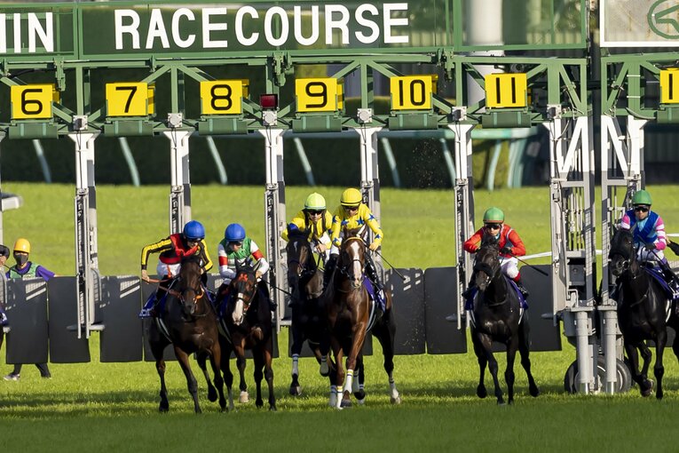 スタート時の様子。ルメールとスターズオンアースは出遅れた