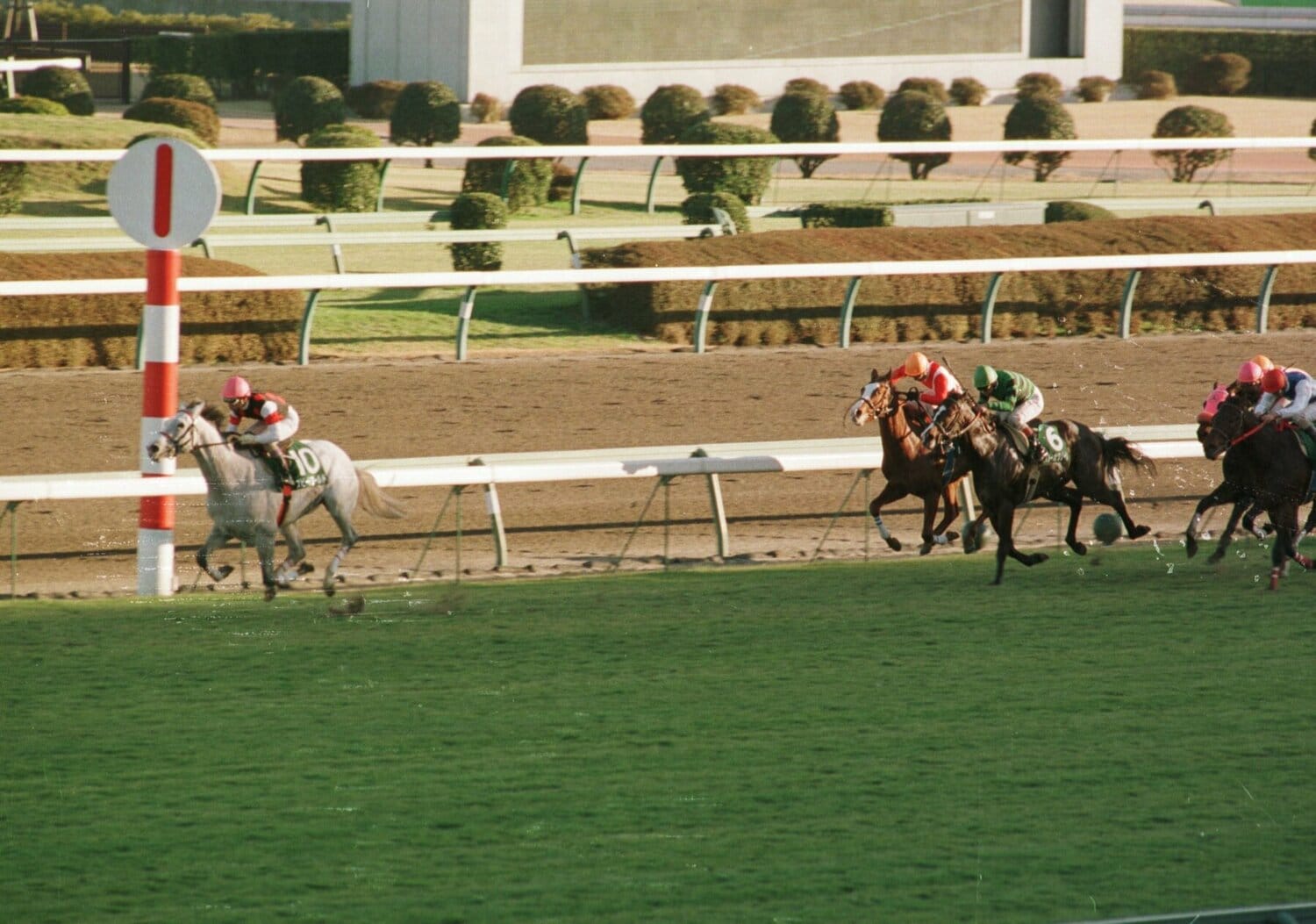 スピードワールドが6馬身差で圧勝した1997年の京成杯　©Sankei Shimbun