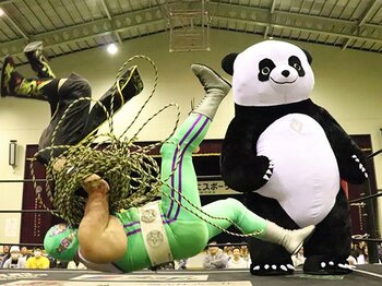 DDTでササダンゴがパンダと激突！パワポの名手が語る“勝利”の定義。＜Number Web＞ photograph by DDT PRO-WRESTLING＆Norihiro Hashimoto