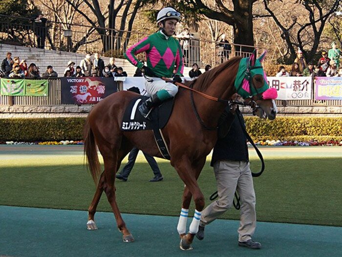 ヴィクトリアマイルと川島信二騎手。他界した先輩、叔父の思いを胸に。＜Number Web＞ photograph by Satoshi Hiramatsu