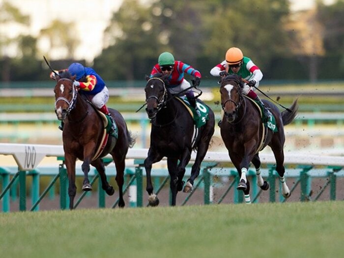 エピファ、コディーノ、キズナ……。弥生賞、“最強3歳馬”たちの競演。＜Number Web＞ photograph by Kiichi Yamamoto